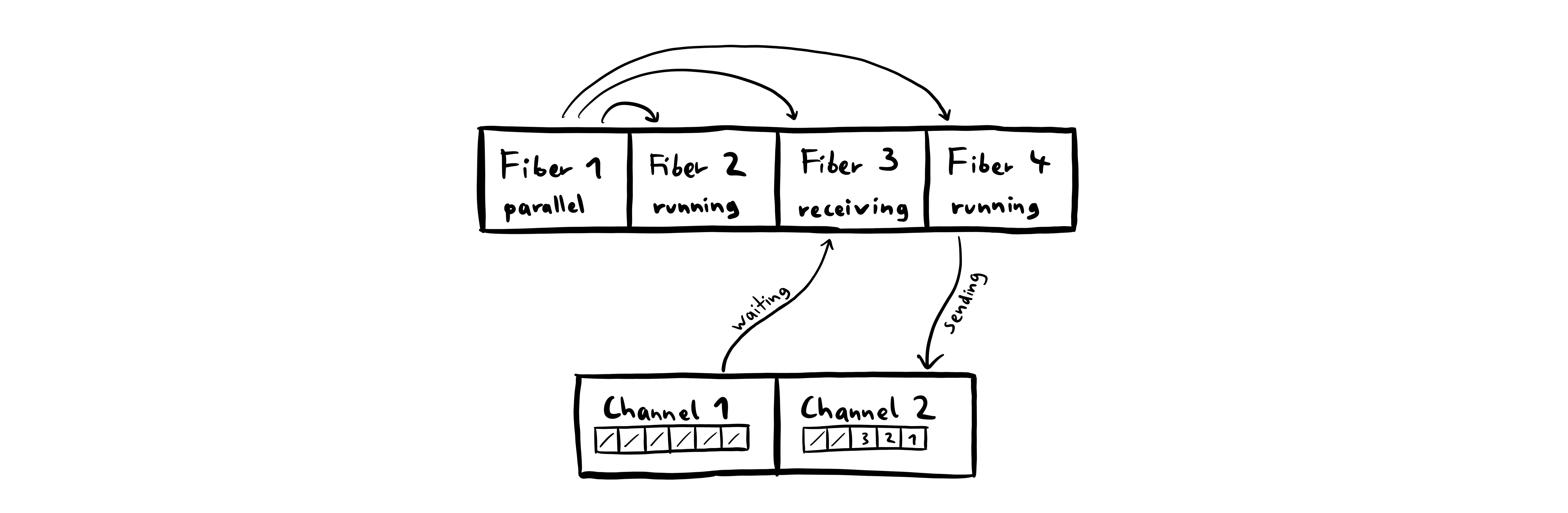 fibers